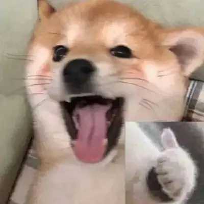 huaban-5493517990.png